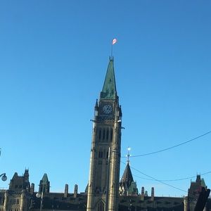 Meet your Posher, Sho